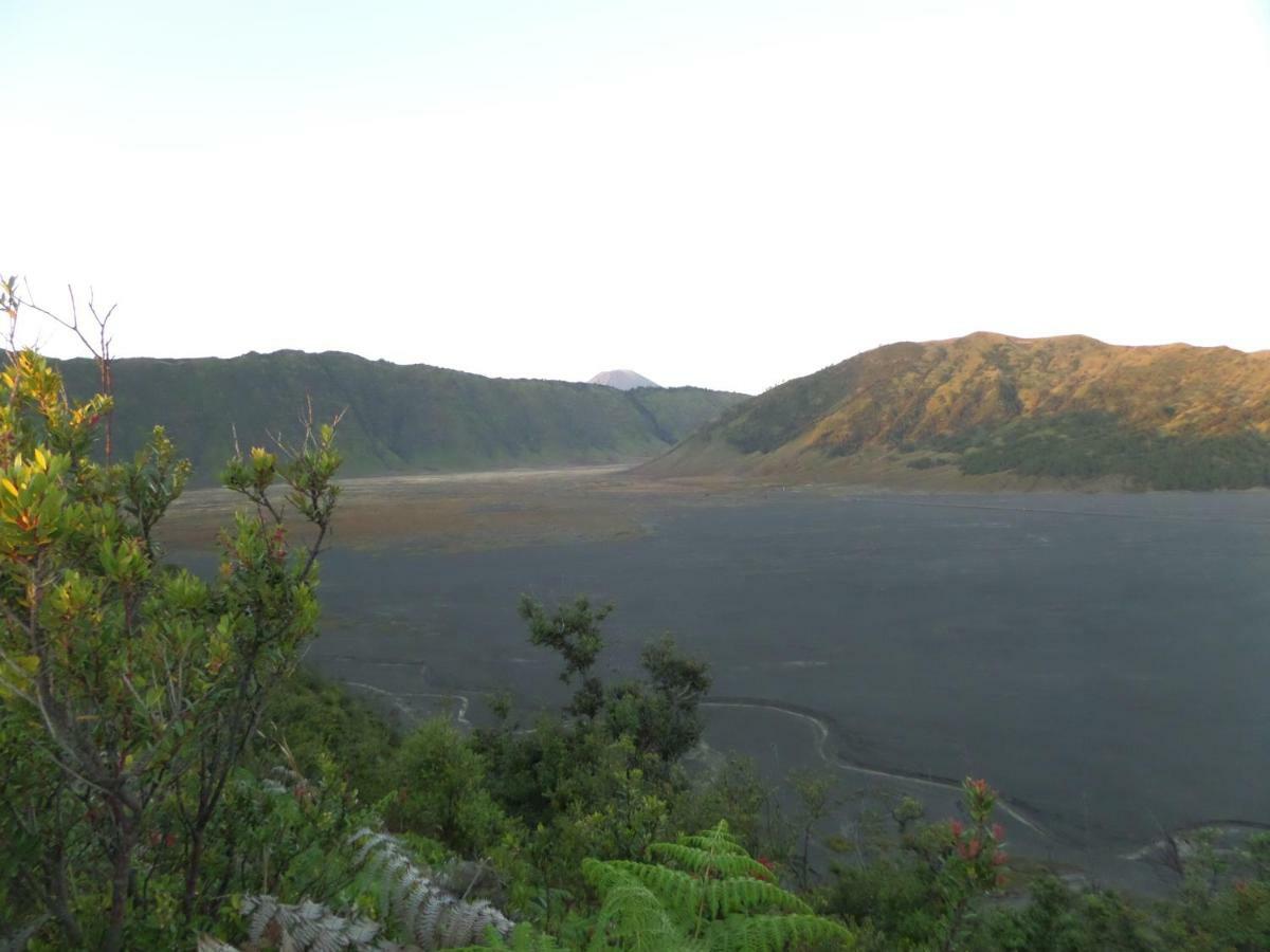 Bromo Permai 1 Ξενοδοχείο Εξωτερικό φωτογραφία