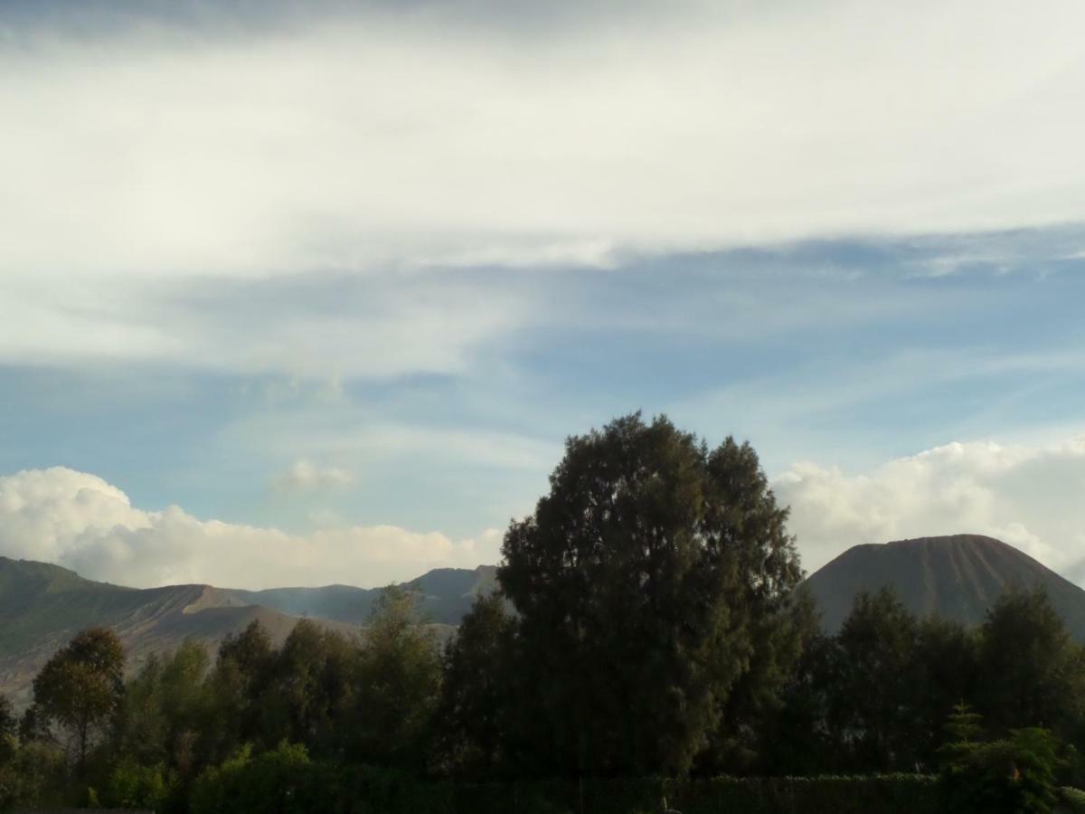 Bromo Permai 1 Ξενοδοχείο Εξωτερικό φωτογραφία
